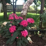 Сasa de vacaciones - Blue Gate Manor Ližnjan