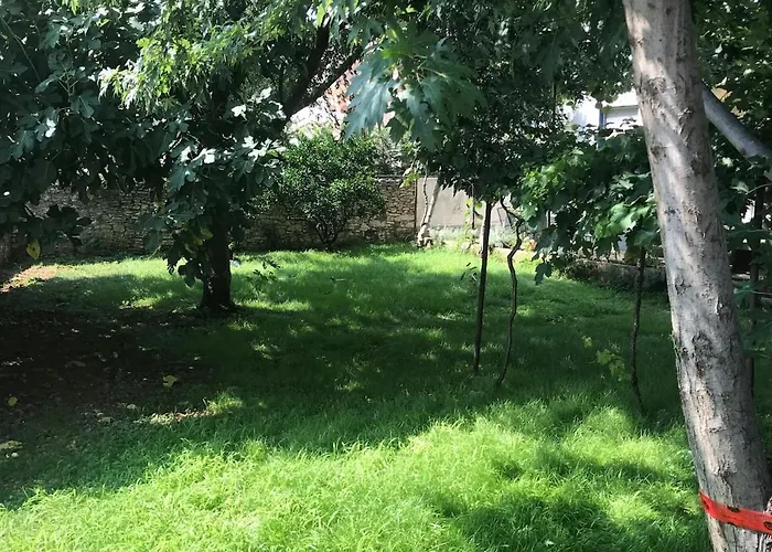 Holiday home - Blue Gate Manor Liznjan