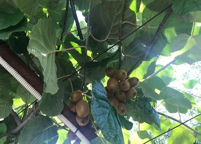 - Blue Gate Manor Holiday home *