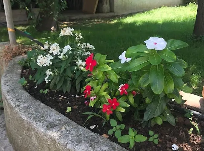 - Blue Gate Manor * Liznjan