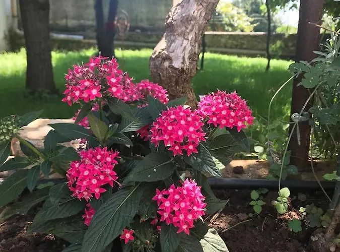 Holiday home - Blue Gate Manor Liznjan